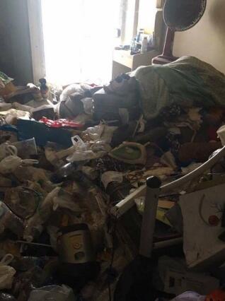 7��ֲ������ع⣡����ʽ�������������� ����������:���Ϲ�