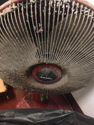 7��ֲ������ع⣡����ʽ�������������� ����������:���Ϲ�