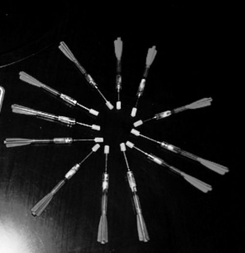 男子用剧毒氰化钾弩镖毒狗 意外扎手将自己毒死