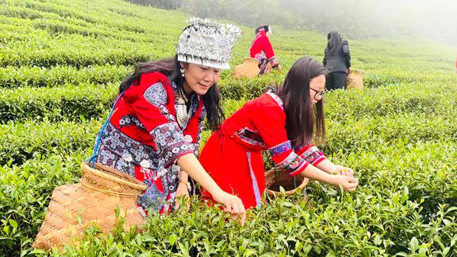 ����ɲ�ȥ��̨���ڹ��������Ʈ��