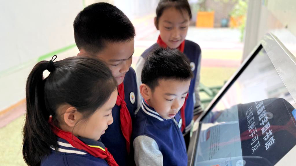 ������ʽ �ḻ���塪�������Сѧ̽���Ķ��ġ�N�ַ�ʽ��